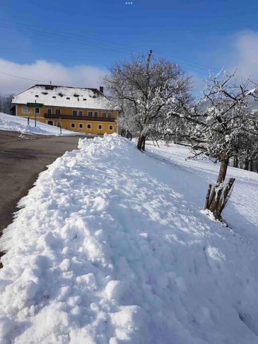 Ferienhof Am Landsberg Obergrünburg Buitenkant foto